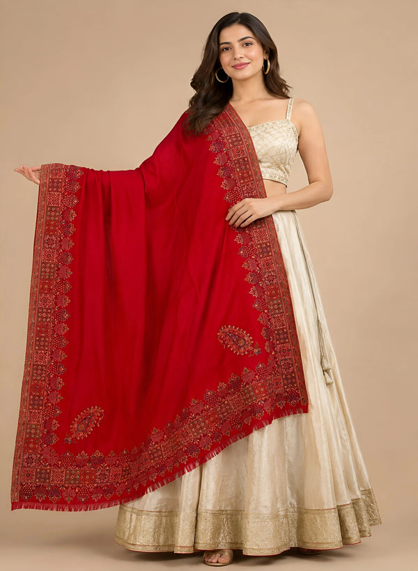 Naqsh-e-Kashmir Inspired Kani Paisley & Geometric Border Wool Blend Red Shawl