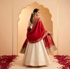 Naqsh-e-Kashmir Woven Kani Jacquard Paisley Red Shawl with Inner Bootas & Solid Panel