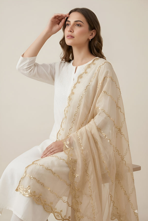Net Cream Dupatta with Twill Zari Sequin Wave Work