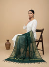 Green Woven Ethnic Motif Dupatta | Elegant Traditional Drape