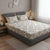 Queen Size 210 TC Elastic Fitted Cotton Bedsheet Set with 2 Pillow Covers (72 × 78 Inches)