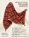 Luxe Chinon Women Phulkari Multicolor Dupatta with Mirror Detailing, Tape Border & Latkan Tassels