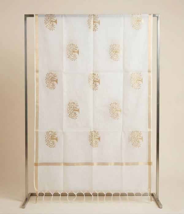 Elegant White Cotton Zari Buta Dupatta | Lightweight Ethnic Drape