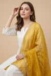 Fendi Women Dupatta – Gold Tone with Lace Border & Latkan