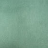 Solid Viscose Light Green Women Stole with Soft Drape & Fringed Finish | Lightweight Everyday Wrap (80 × 28 Inches)