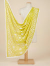 Yellow Karachi Style Hand Embroidered Chiffon Dupatta