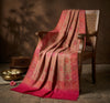 Naqsh-e-Kashmir Woven Kani Jacquard Floral Shawl with Traditional Pink Border & Panel